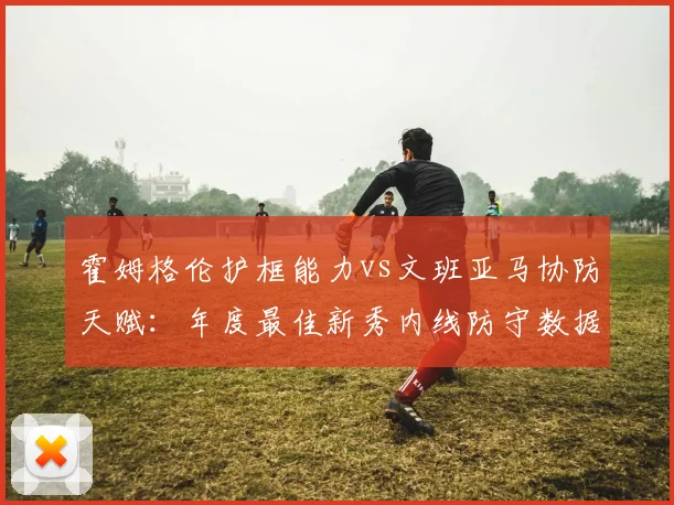 霍姆格伦护框能力vs文班亚马协防天赋：年度最佳新秀内线防守数据对比