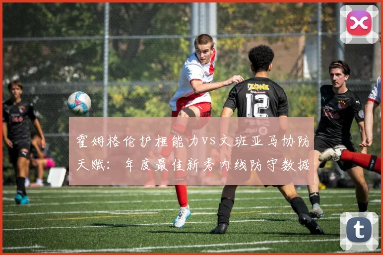 霍姆格伦护框能力vs文班亚马协防天赋：年度最佳新秀内线防守数据对比